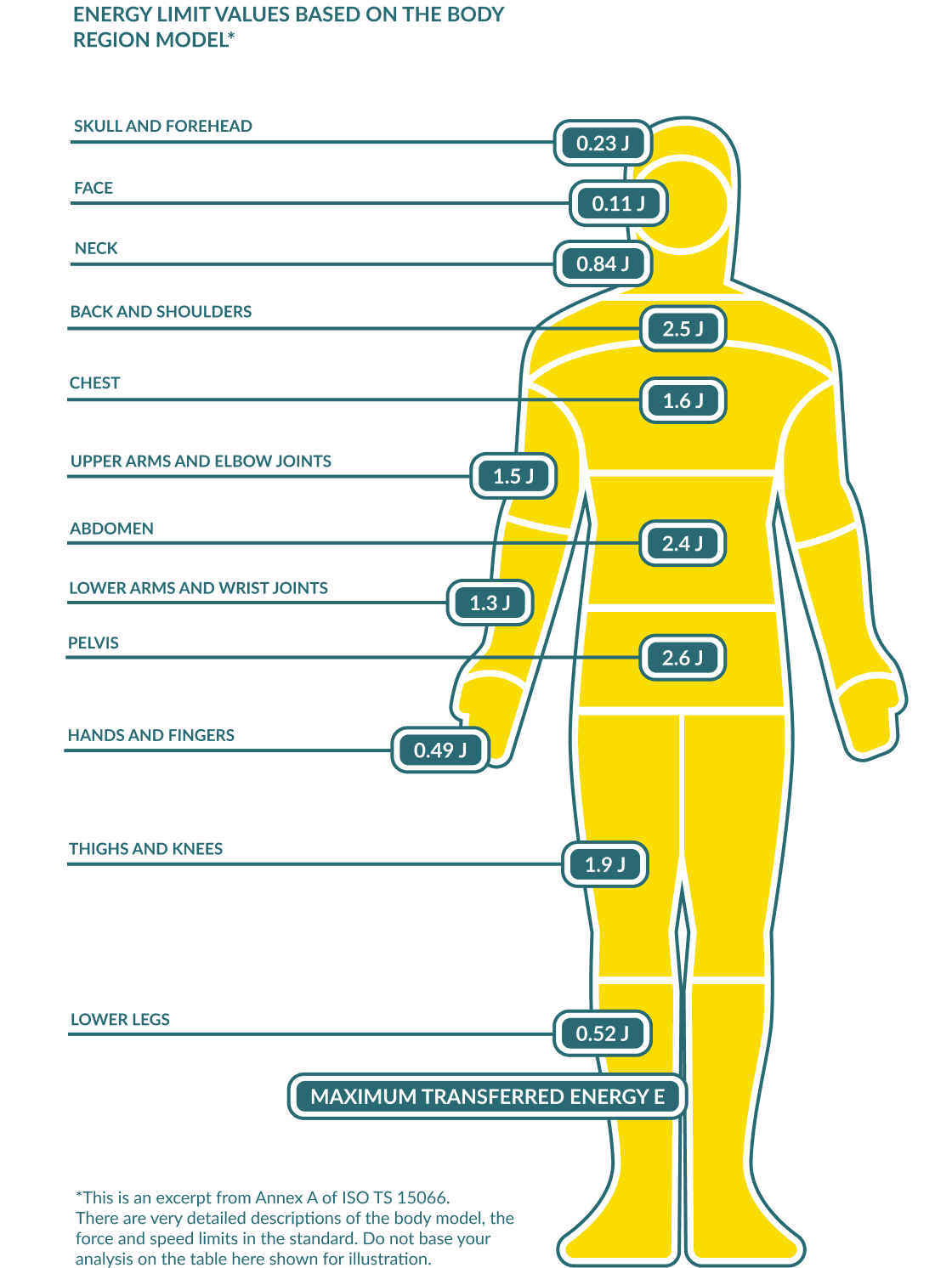 Infographic illustrating energy limit values for different body regions based on ISO TS 15066, a key standard for collaborative robot safety. The diagram highlights maximum transferred energy thresholds for safe human-robot interaction, covering areas like the skull (0.23 J), face (0.11 J), neck (0.84 J), back (2.5 J), chest (1.6 J), arms (1.5 J), abdomen (2.4 J), pelvis (2.6 J), hands (0.49 J), knees (1.9 J), and legs (0.52 J). Essential for robotic safety, industrial automation, and workplace ergonomics.