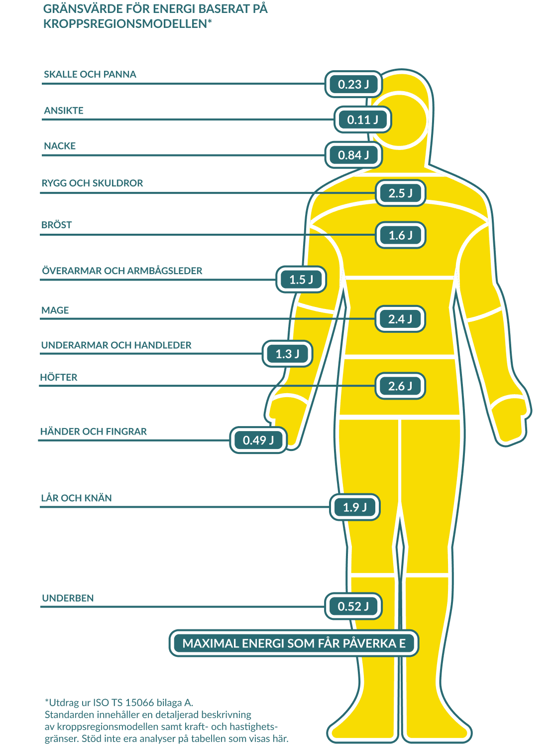 Gränsvärden, Kroppsregion