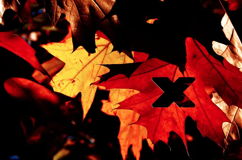 Autumn.jpg)