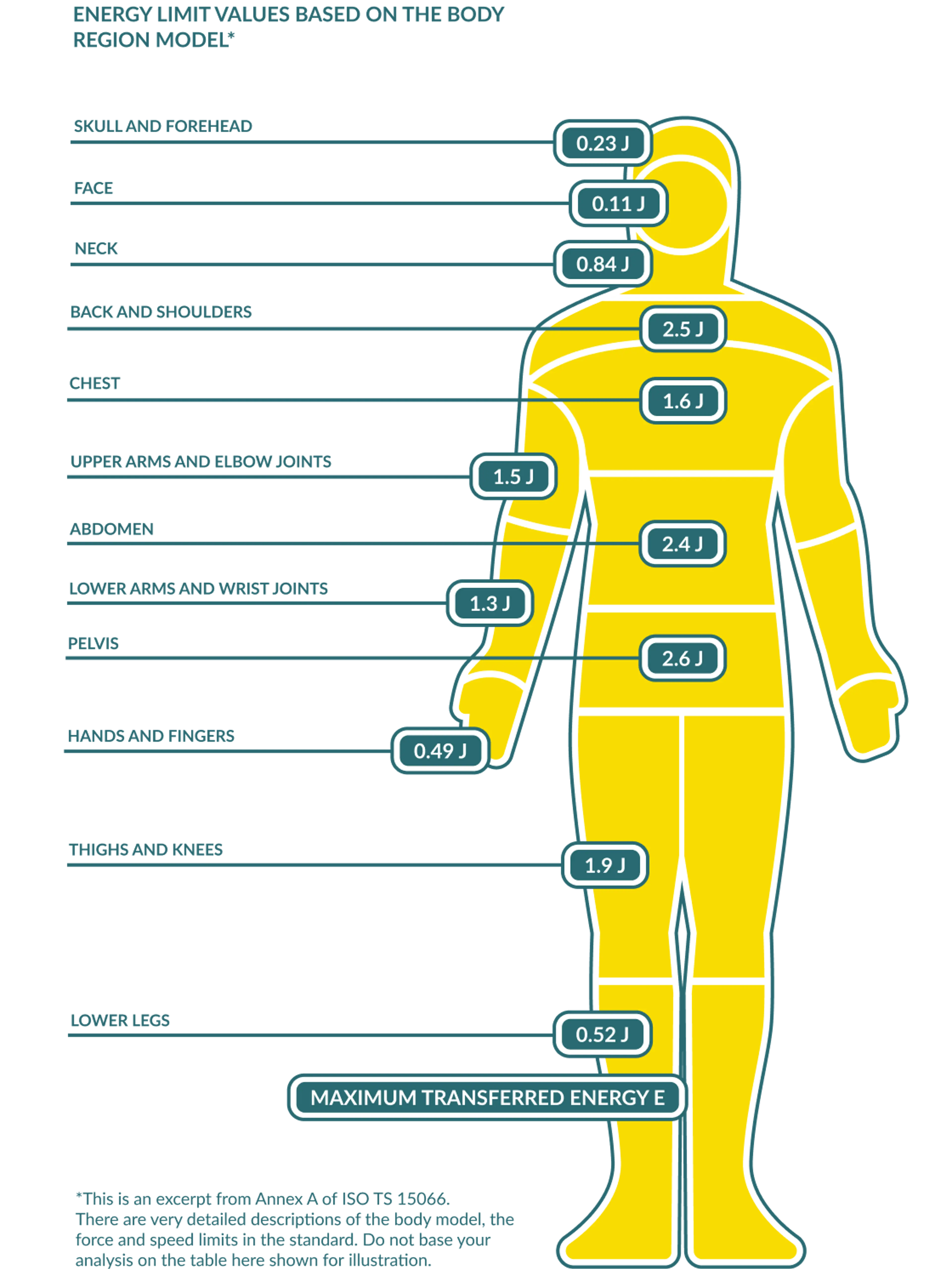Infographic illustrating energy limit values for different body regions based on ISO TS 15066, a key standard for collaborative robot safety. The diagram highlights maximum transferred energy thresholds for safe human-robot interaction, covering areas like the skull (0.23 J), face (0.11 J), neck (0.84 J), back (2.5 J), chest (1.6 J), arms (1.5 J), abdomen (2.4 J), pelvis (2.6 J), hands (0.49 J), knees (1.9 J), and legs (0.52 J). Essential for robotic safety, industrial automation, and workplace ergonomics.