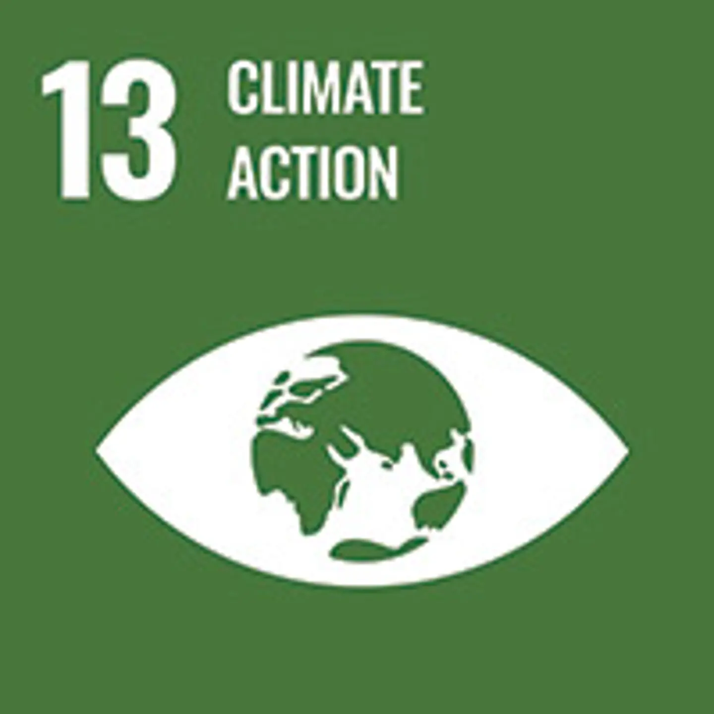 On a green background, the number 13 in white in the top left corner, the text "climate action" beside, below a illustrated eye with the Earth instead of the iris